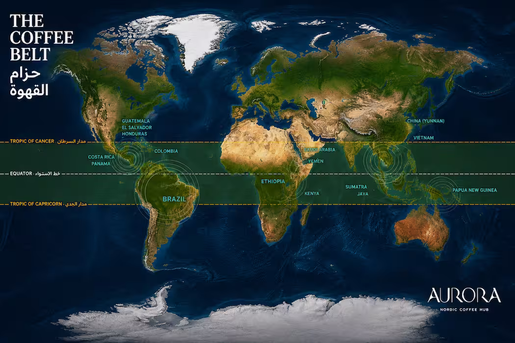 World map infographic illustrating the Coffee Belt located between the Tropic of Cancer and Tropic of Capricorn, highlighting major coffee-growing regions in English and Arabic.