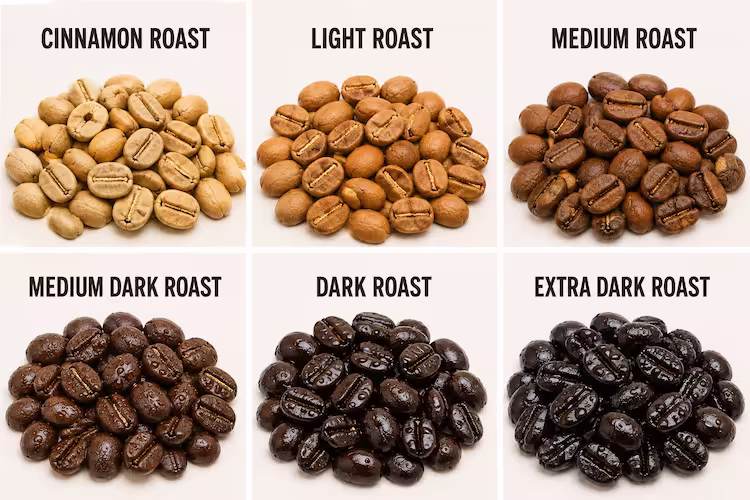 Coffee roast levels guide comparing 5 distinct roast stages from light to dark with brew methods
