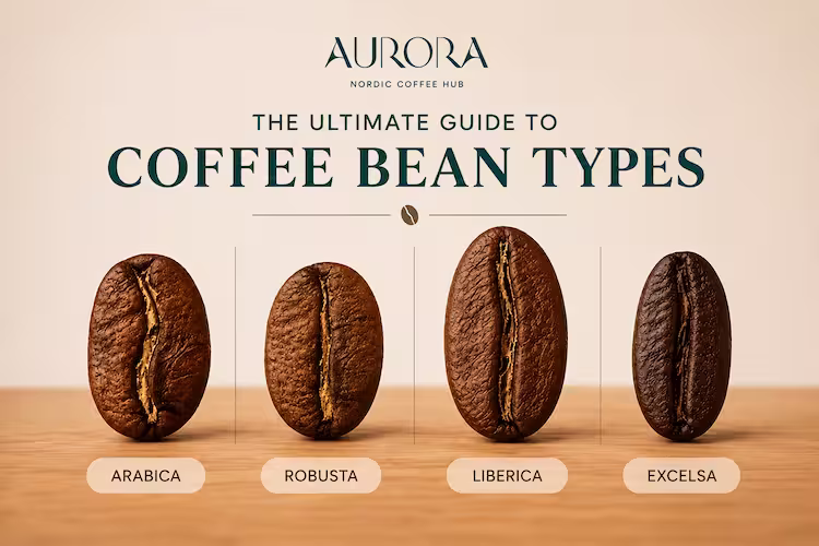 Guide to coffee bean types comparing Arabica, Robusta, Liberica, and Excelsa side by side